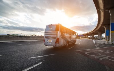 A Digital Nomad’s Guide to Public Transport in Tenerife